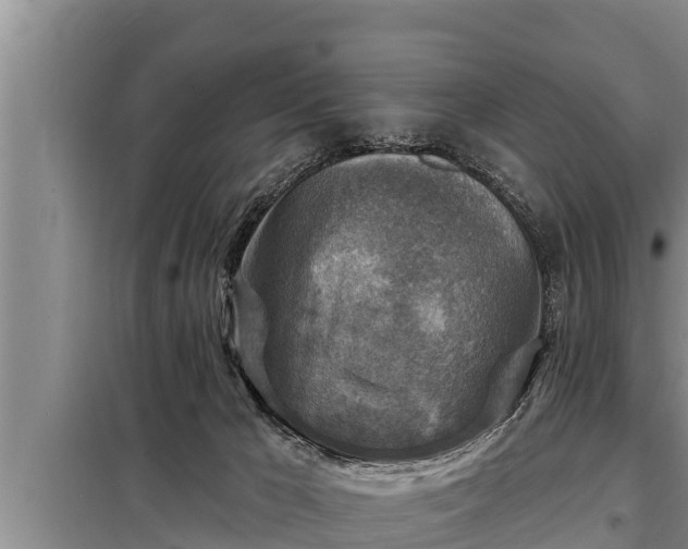 X0000098170029200805011023