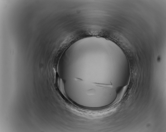 X0000098170031200805011023