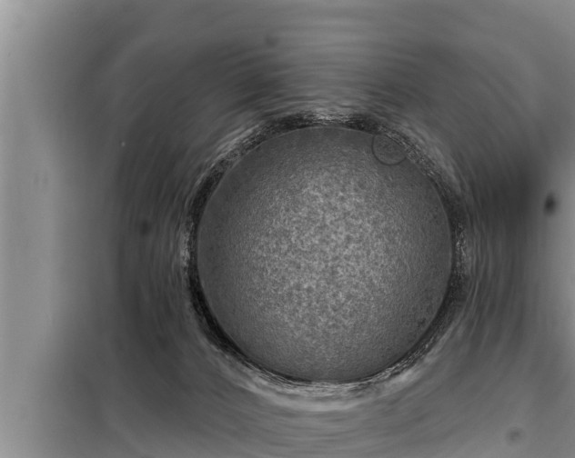 X0000098170032200805011023