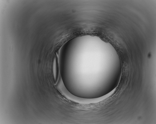 X0000098170033200805011023