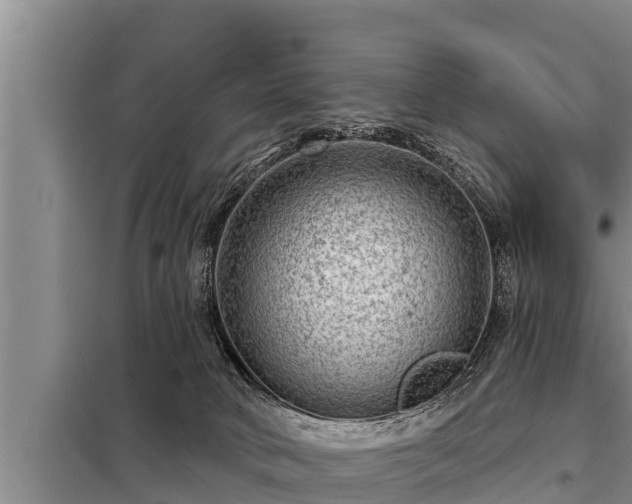 X0000098170034200805011023