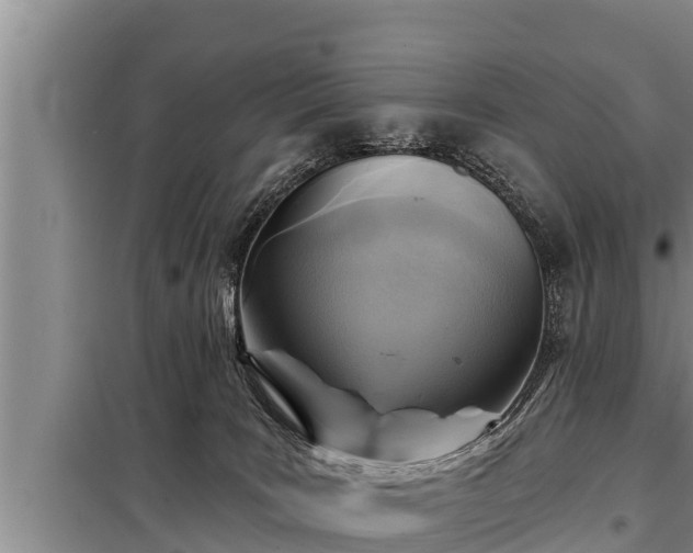 X0000098170035200805011023