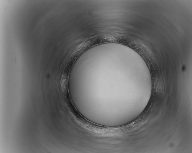 X0000098170036200805011023