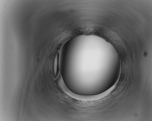 X0000098170037200805011023