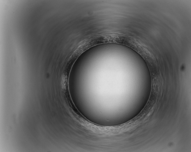 X0000098170038200805011023