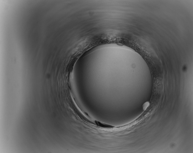 X0000098170039200805011023