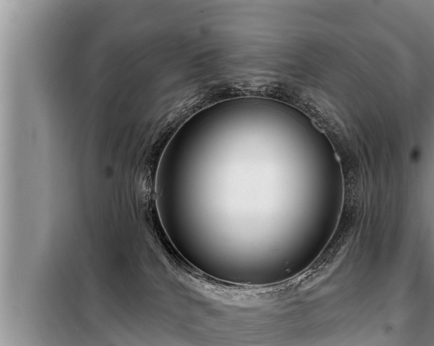 X0000098170040200805011023