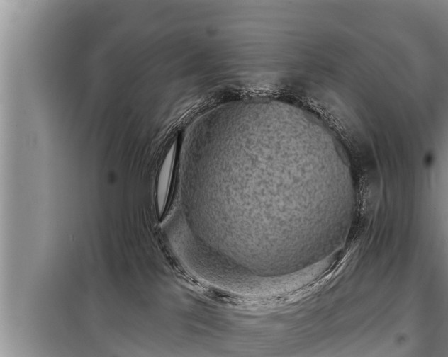 X0000098170041200805011023