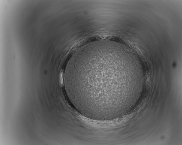 X0000098170042200805011023