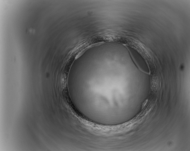 X0000098170043200805011023