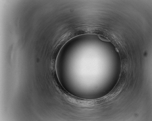 X0000098170044200805011023