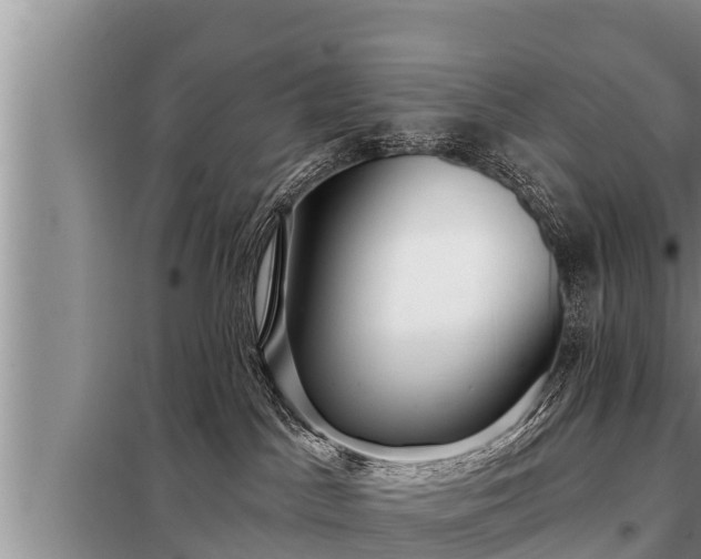 X0000098170045200805011023