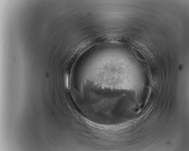 X0000098170046200805011023