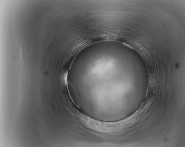 X0000098170047200805011023