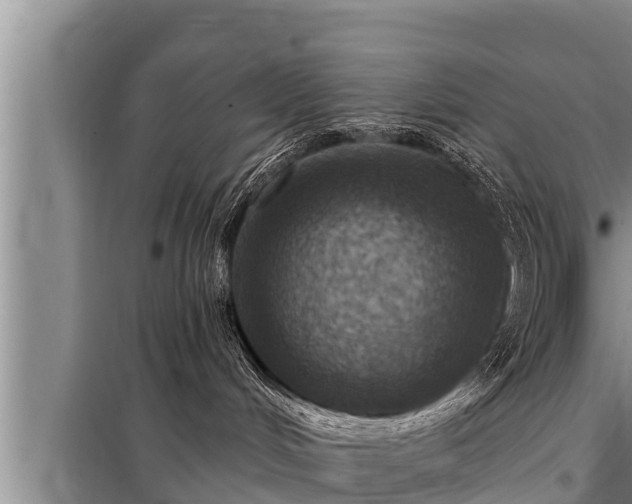 X0000098170048200805011023