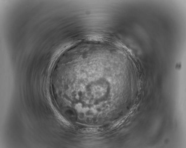 X0000098170049200805011022