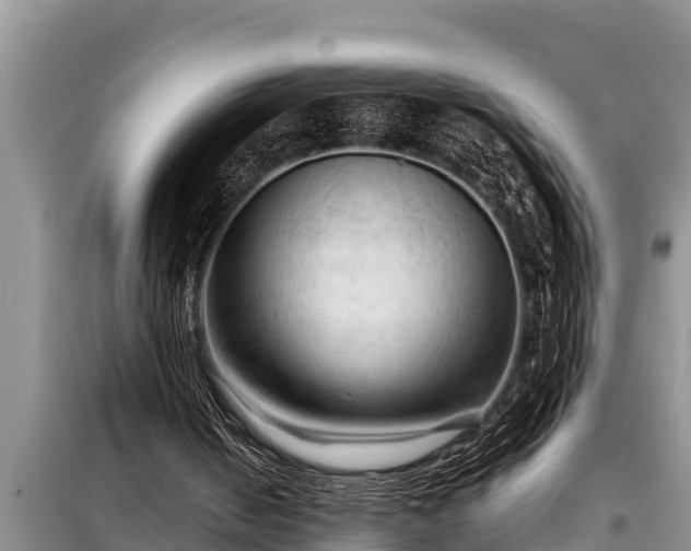 X0000098170050200805011022