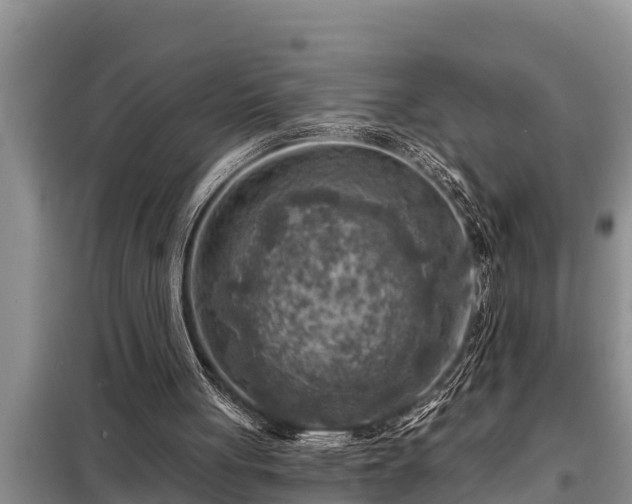 X0000098170051200805011023