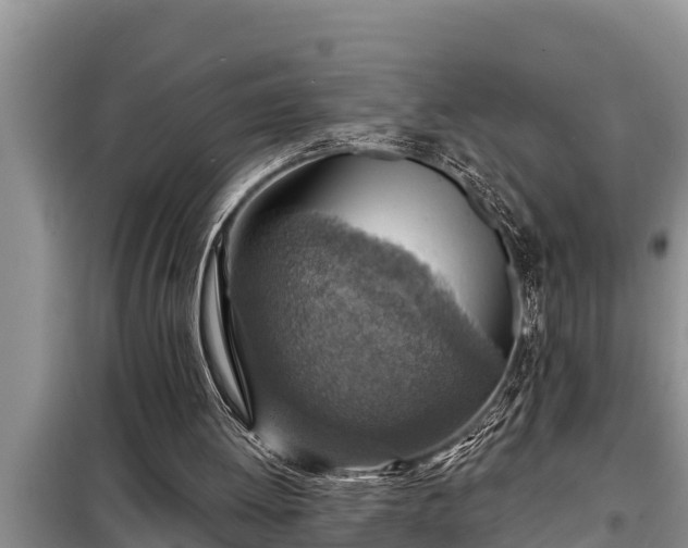 X0000098170052200805011023