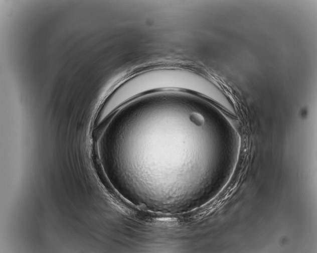 X0000098170053200805011023