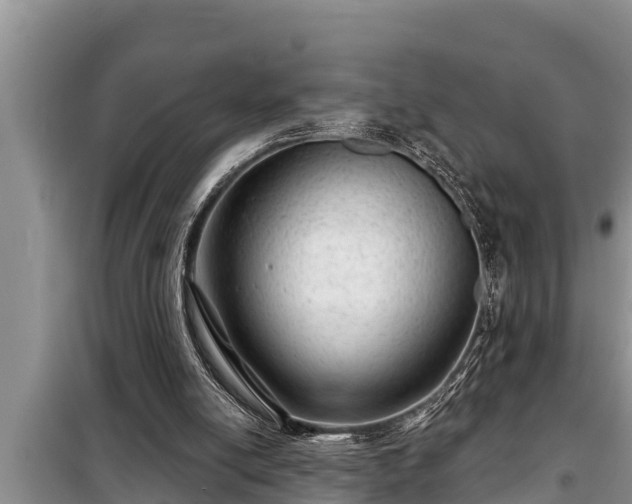 X0000098170054200805011023