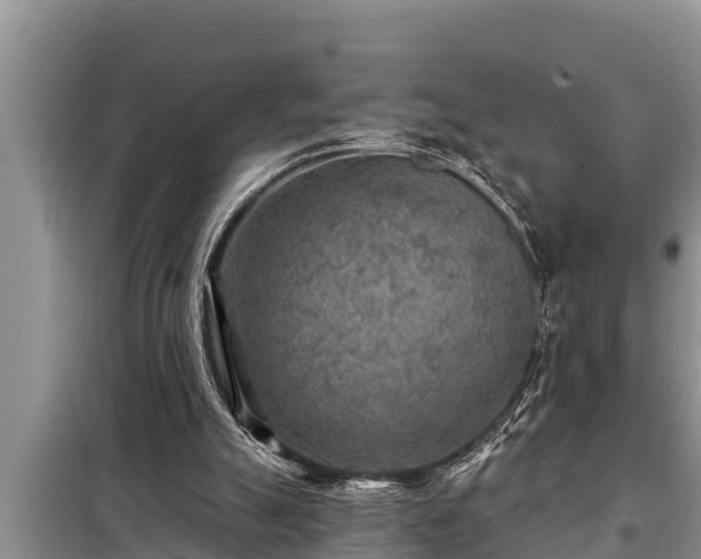 X0000098170055200805011023