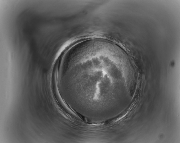 X0000098170056200805011023