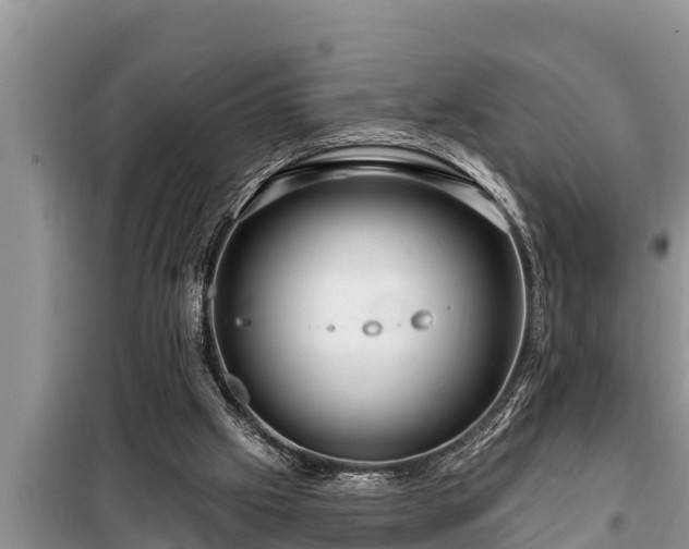 X0000098170057200805011023