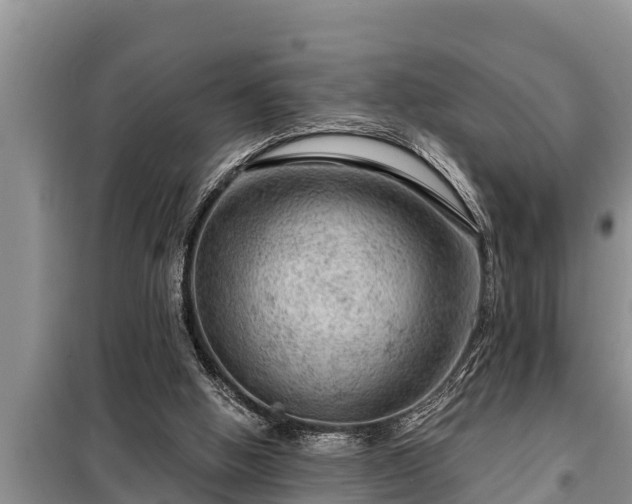 X0000098170058200805011023