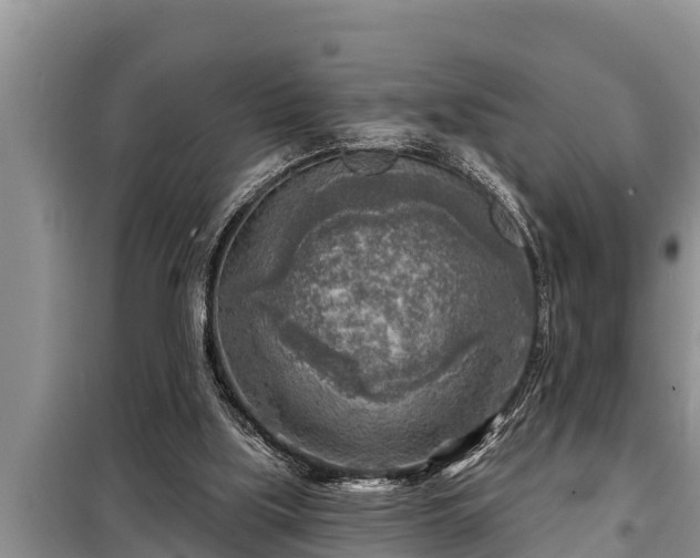 X0000098170059200805011023