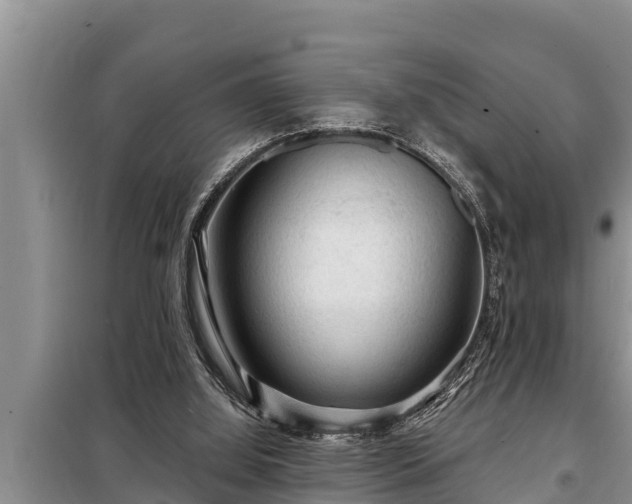 X0000098170060200805011023