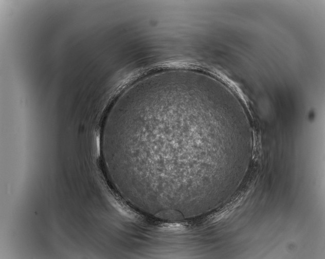 X0000098170061200805011023