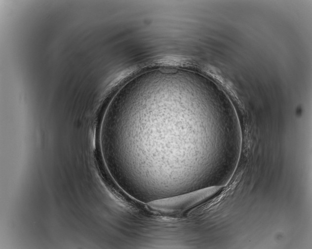 X0000098170062200805011023