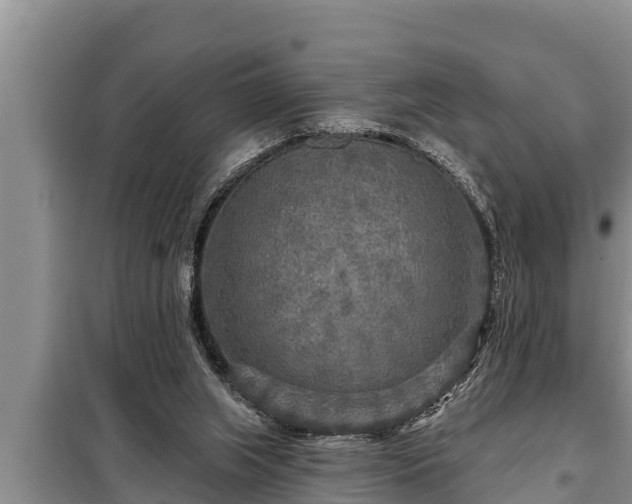 X0000098170063200805011023