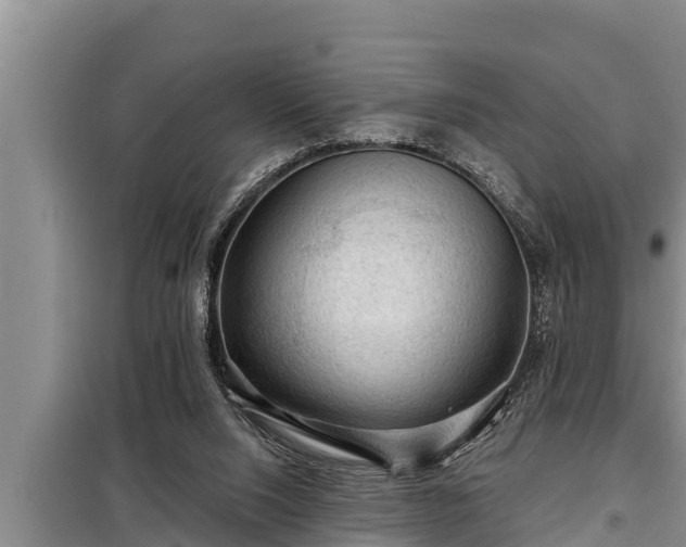 X0000098170064200805011023