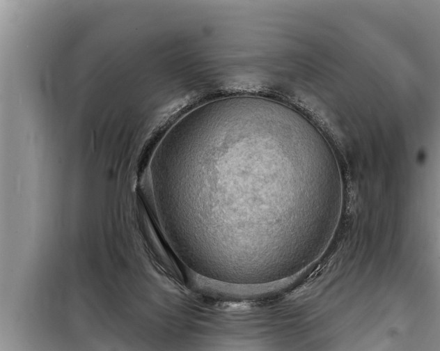 X0000098170068200805011023