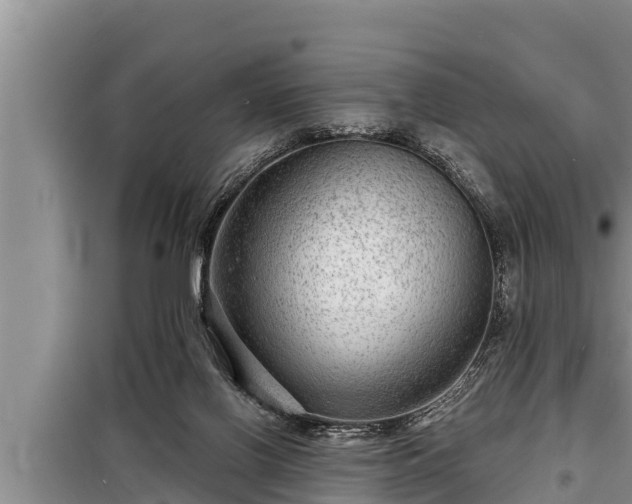 X0000098170070200805011023