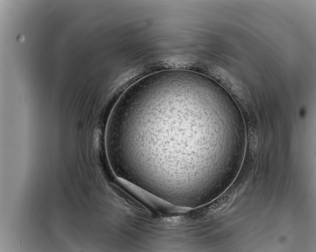 X0000098170071200805011023