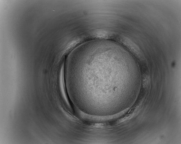 X0000098170072200805011023