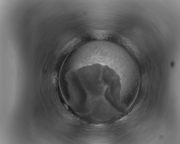 X0000098170073200805011023