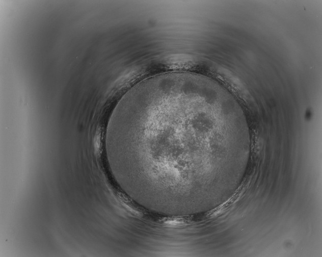 X0000098170074200805011023