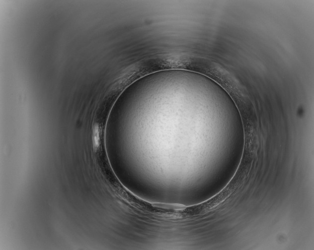 X0000098170075200805011023