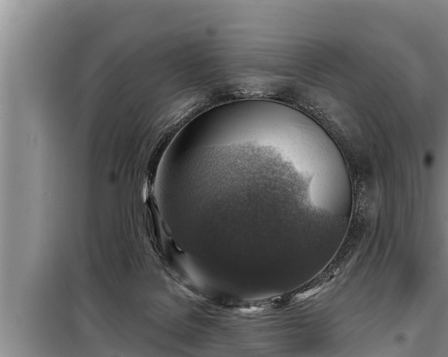 X0000098170076200805011023