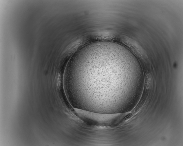 X0000098170077200805011023