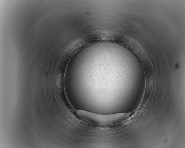 X0000098170078200805011023