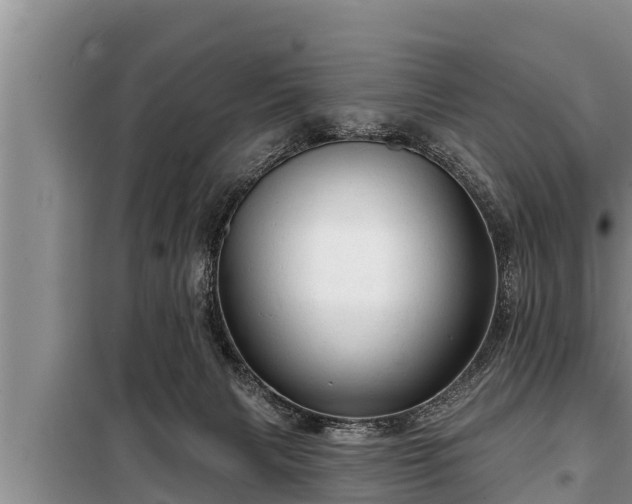 X0000098170079200805011023