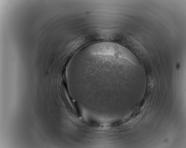 X0000098170080200805011023