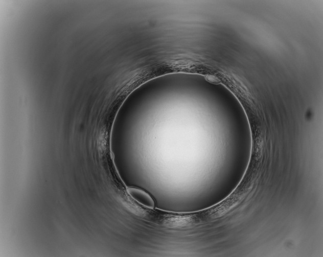 X0000098170081200805011023