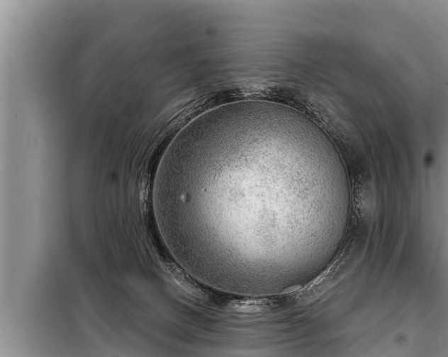 X0000098170082200805011023