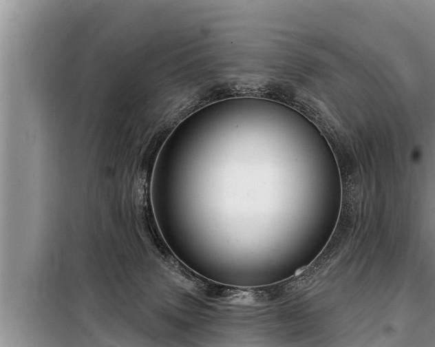 X0000098170083200805011023